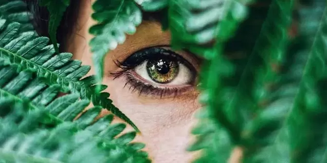 vision et exercices pour la restaurer